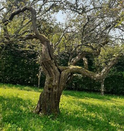 فيلا Coyriereفي Maison Chaleureuse Et Ecologique المظهر الخارجي الصورة