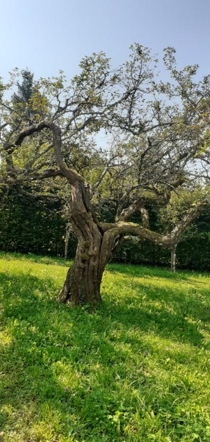 فيلا Coyriereفي Maison Chaleureuse Et Ecologique المظهر الخارجي الصورة